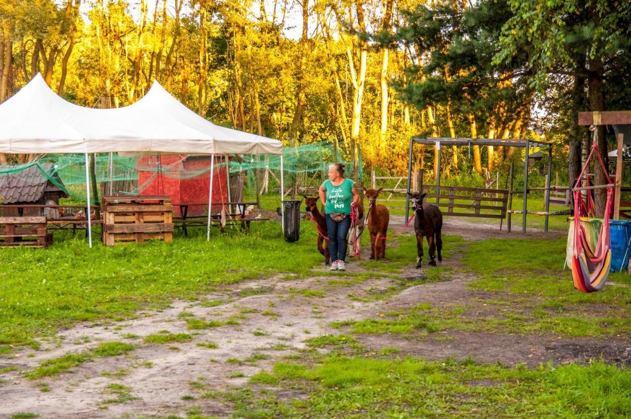 Hotel Glamping Z Alpakami Jankowice  Exterior foto